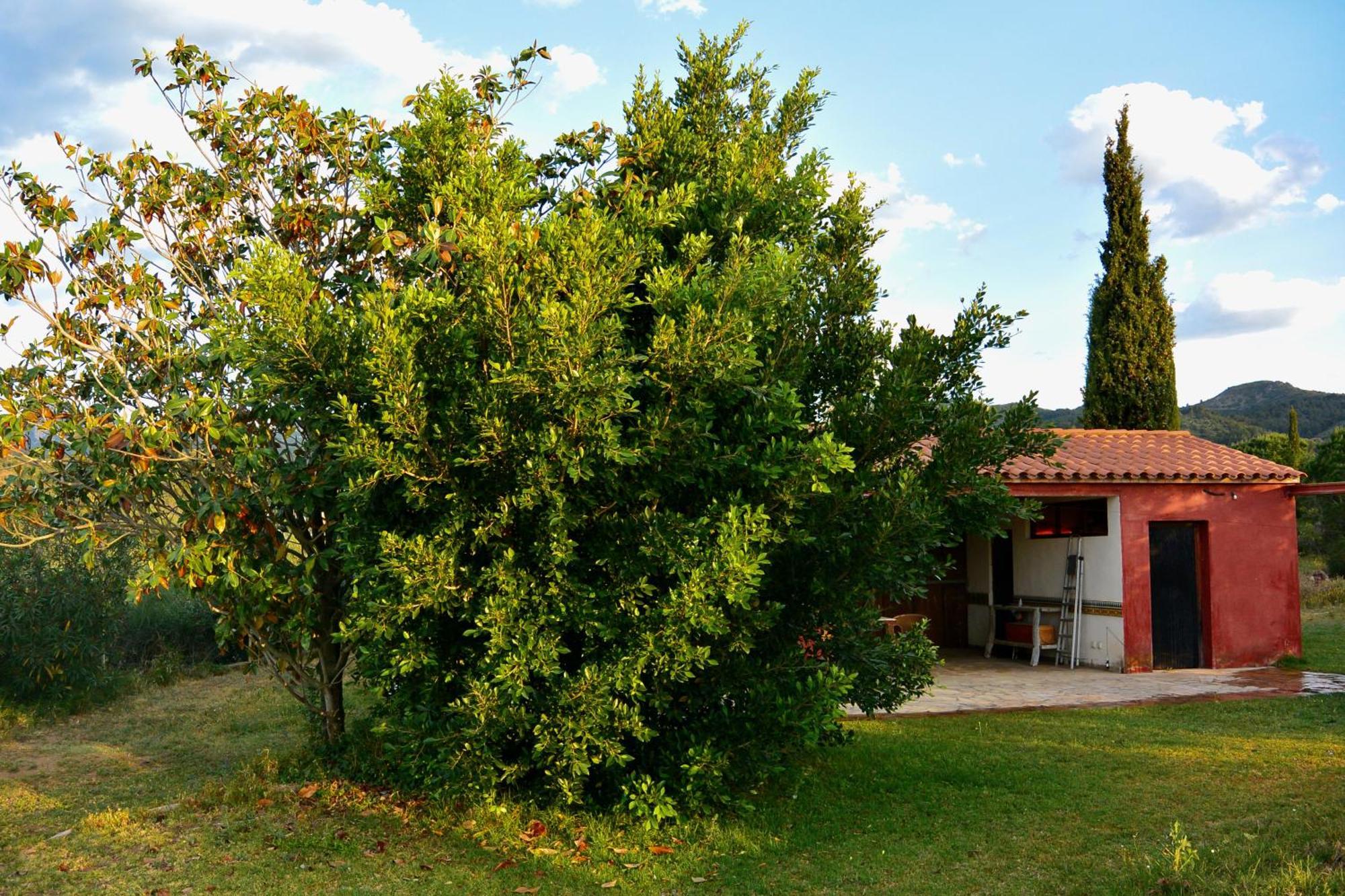L'Albaida, Tranquility, Views Of Sea And Mountains Apartment Vilanova de Escornalbou Room photo